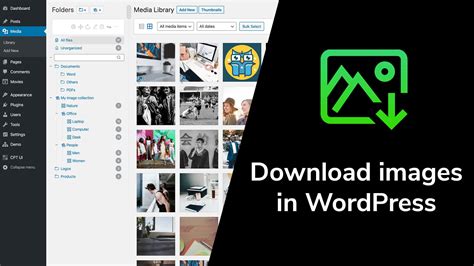 How to download video from wordpress media