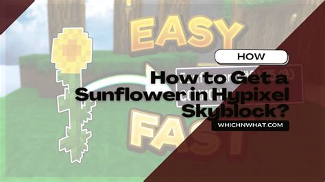 Hypixel skyblock how to get sunflower