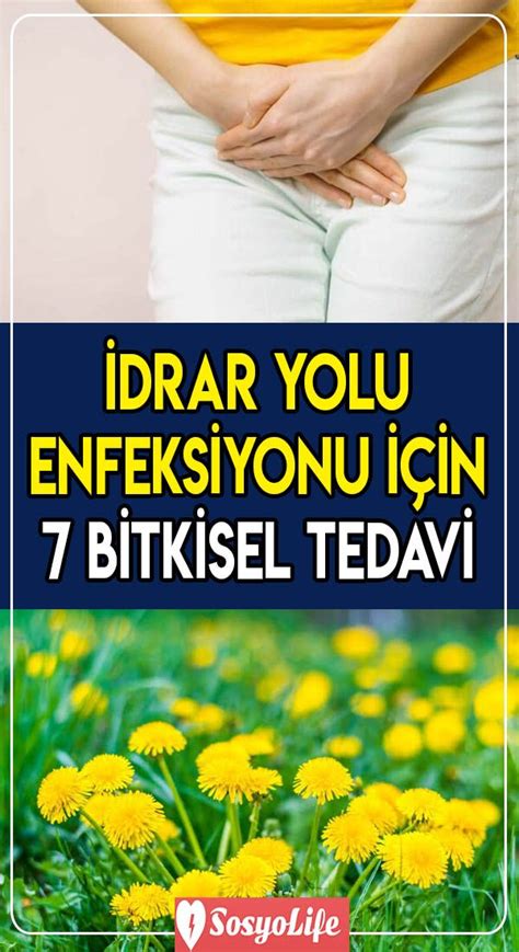 Idrar kaçırmasına bitkisel çözüm