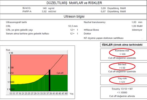 Ikili test nedir