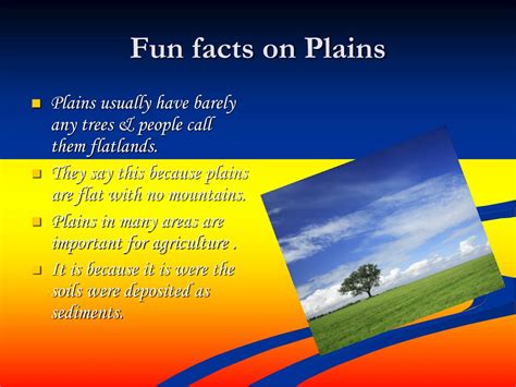 Information About Plains