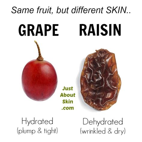 Is A Grape A Raisin