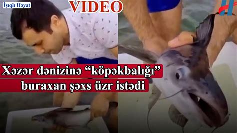 Köpəkbalığı ilə Dontsov pokerini pulsuz oxuyun