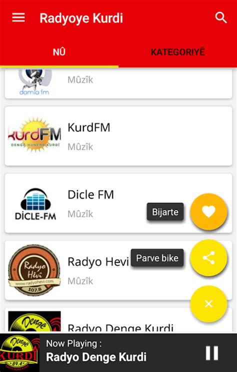 Kürtçe radyo