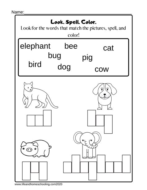 Kindergarten Vocabulary Worksheets