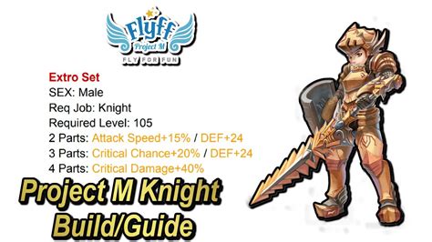 Knight 1v1 Build Flyff