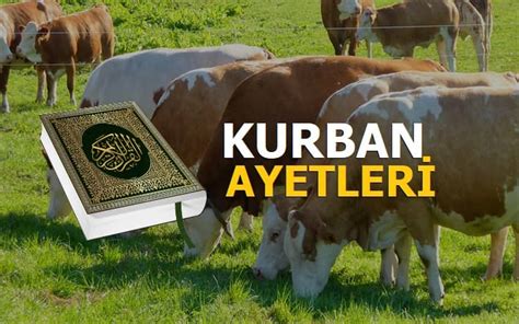 Kuran da kurbanla ilgili ayetler