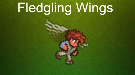 Leaf Wings Vs Fledgling Wings