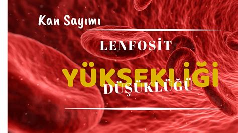 Lenfosit düşüklüğü