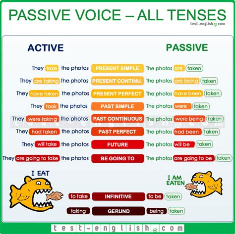List Of Passive Verbs Words