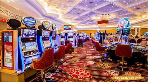 Live Casino Sites Uk