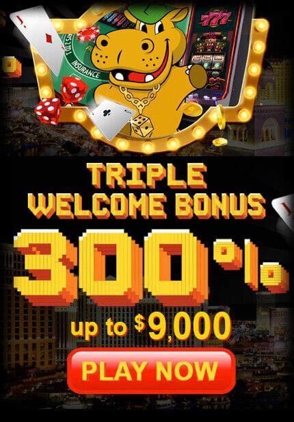 Lucky Hippo Casino Download App
