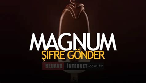 Magnumcomtr 2022