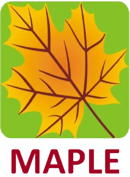 Maple India Pvt Ltd
