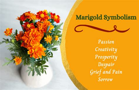 Marigold Meaning