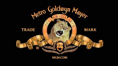 Mgm Line Of Credit