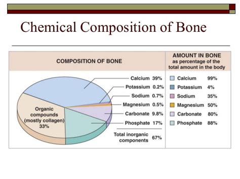 Mineral Composition Of Bone