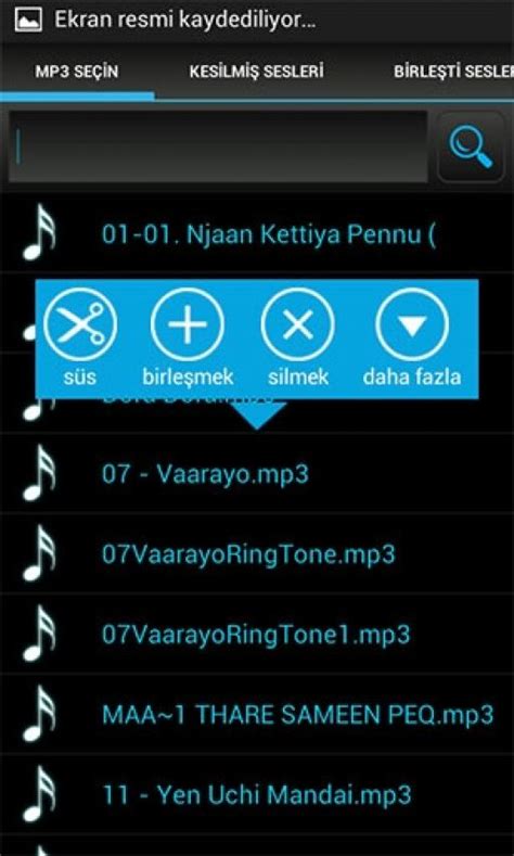 Mp3 kesici