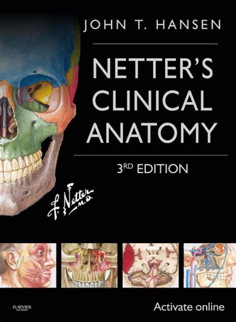Netter's Anatomy