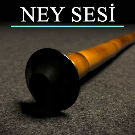 Ney sesi