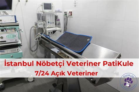 Nobetci veteriner bağcılar