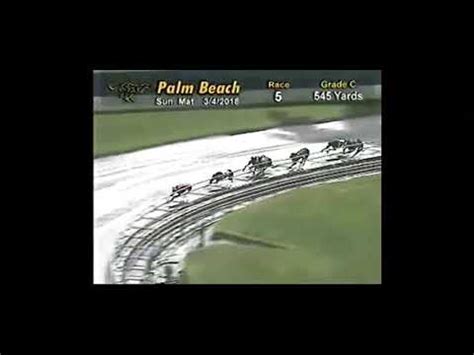 Palm Beach Kennel Replays