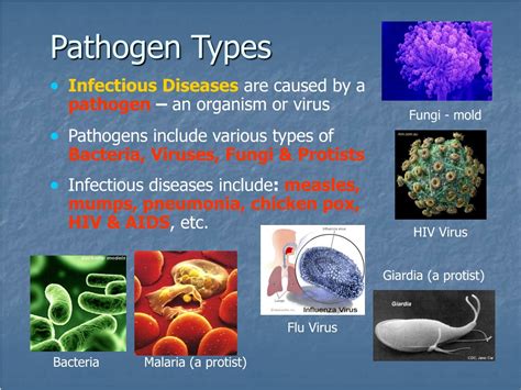 Pathology Vs Infectious Disease