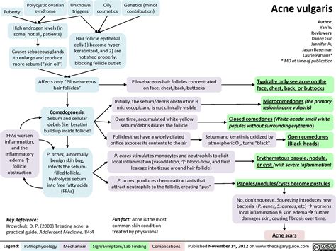 Pathophysiology Of Acne Vulgaris