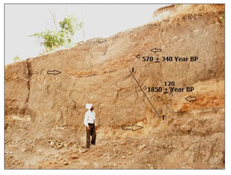 Quaternary Sediments