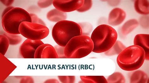 Rbc sayısı yüksek