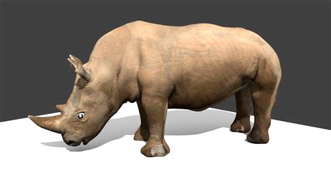 Rhinoceros models free download