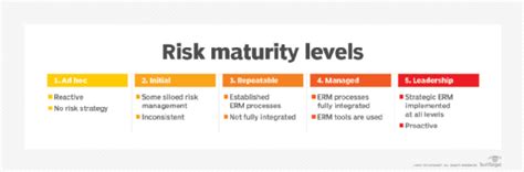 Risk Maturity Index