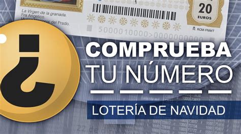 Rus loto lotereyası bilet necə görünür