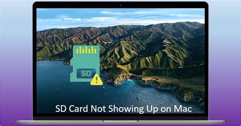 Sd Card Not Recognized Mac