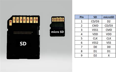 Sd Card With Microchip Slot