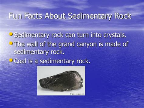 Sedimentary Rock Fun Facts