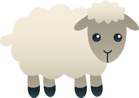 Sheep Images For Kids
