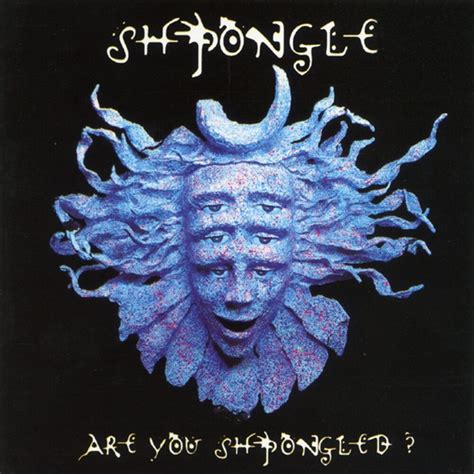 Shpongle divine moments of truth mp3 free download