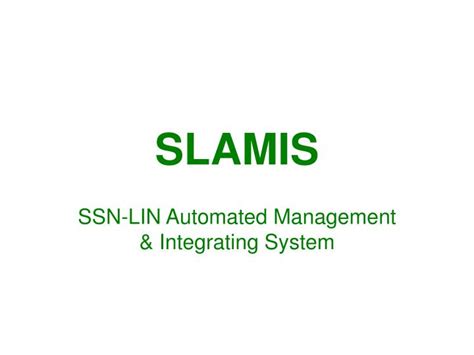 Slamis Website