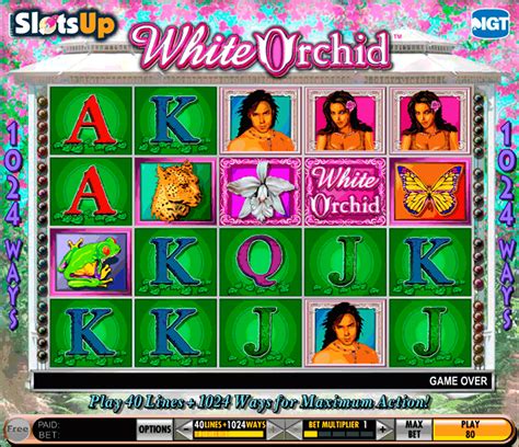 Slot Game Free White Orchid