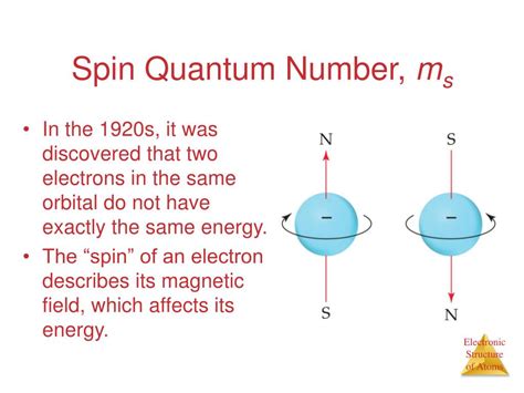 Spin Kuantum Sayısı