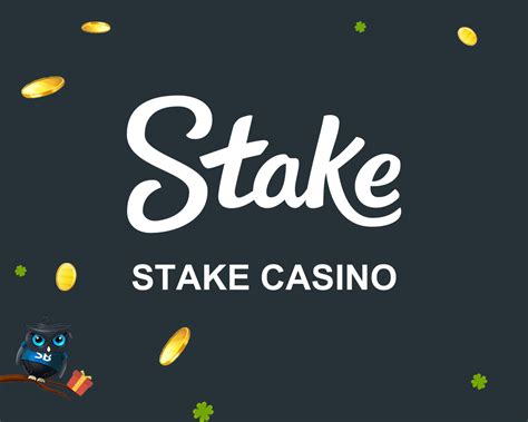 Stake Casino Owner