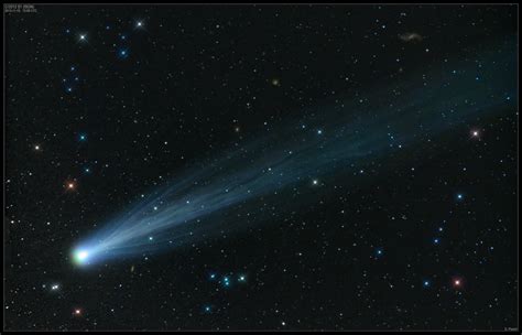 Star comet tavuk