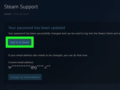Steam Support Chat With Agent