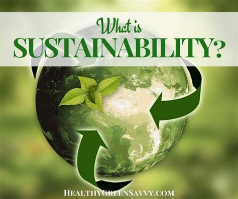 Stustainable Meaning