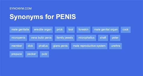 Synonym penis