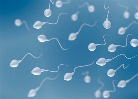 Tüp bebekte erkek sperm sayısı kaç olmalı