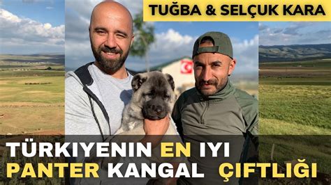 Türkiyenin en iyi kangal çiftliği