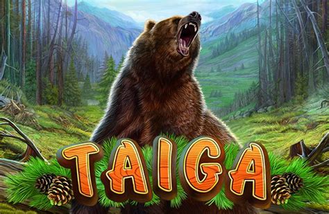 Taiga slot maşınını tam ekranda qeydiyyatsız oynayın