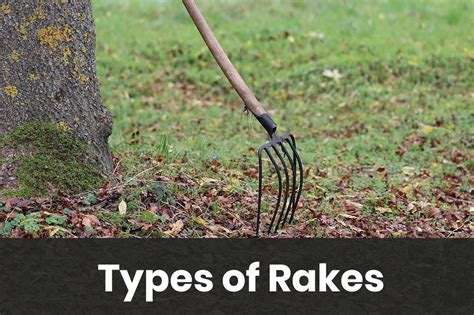 Taking A Rake Meaning